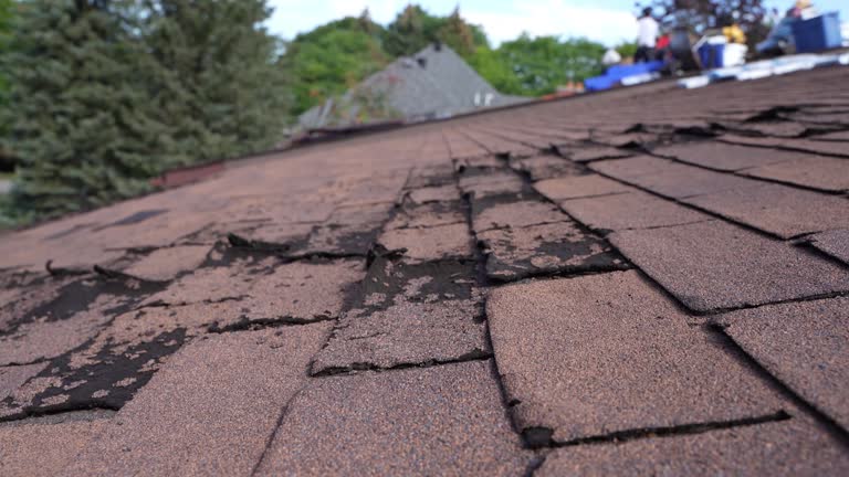 Reliable Wilmer, TX Roofing Service Solutions